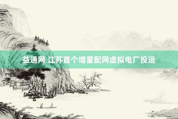 益通网 江苏首个增量配网虚拟电厂投运